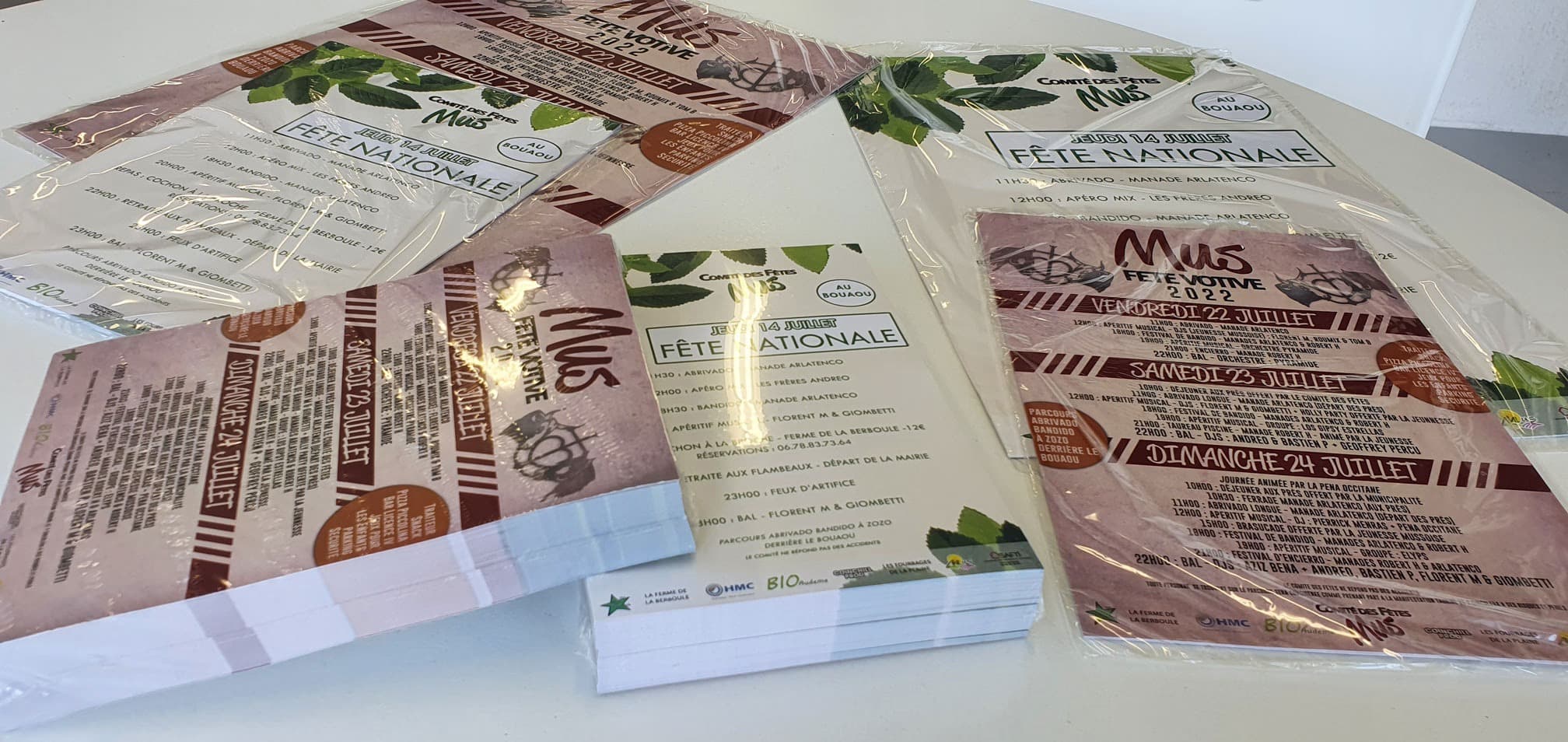 Brochures professionnelles et catalogues personnalisés